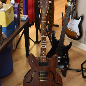 Washburn HB 32 DM Semi Hollow Electric Guitar