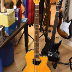 Hudson HBASS Electric Acoustic Bass Guitar