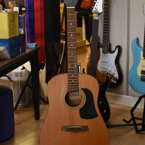 Ariana AW 60 Vintage Acoustic Guitar