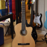 Tanglewood Winterleaf TWCE 4