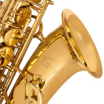 Odyssey Debut 'Eb' Alto Saxophone Outfit