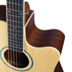 Tetra TEKEA-YS-41 Solid Top Acoustic guitar