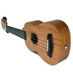 Tetra KEARL-21 Soprano Ukulele - 30 Class Pack