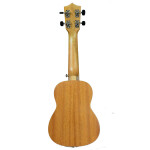 Tetra KEARL-21 Soprano Ukulele - 30 Class Pack