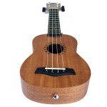 Tetra KEARL-21 Soprano Ukulele - 30 Class Pack